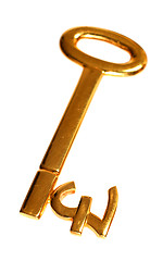 Image showing Gold pound key