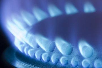 Image showing Blue flames of a gas stove