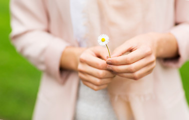 Image showing close up of woman hands with daisy flower
