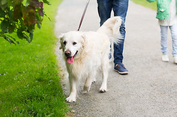 Image showing close up of family with labrador dog in park