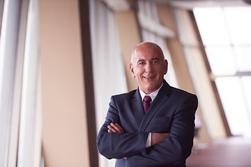 Image showing senior business man portrait