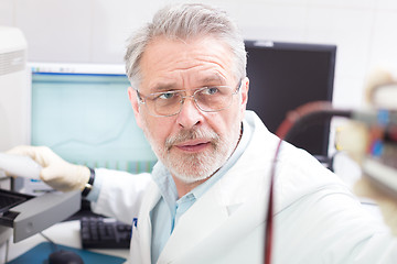 Image showing Life scientist researching in the laboratory.