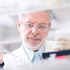 Image showing Life scientist researching in the laboratory.