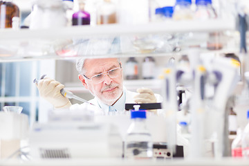 Image showing Life scientist researching in the laboratory.