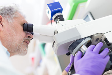 Image showing Senior scientist  microscoping in lab.