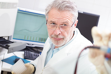 Image showing Life scientist researching in the laboratory.