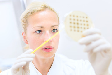 Image showing Scientist observing petri dish.