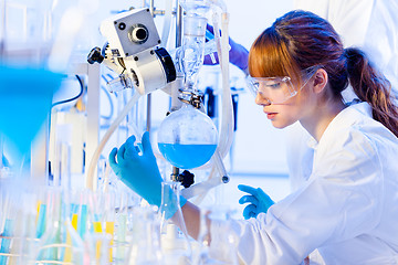 Image showing Young chemist in the laboratory.