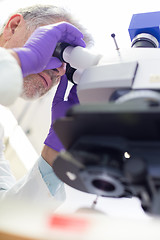 Image showing Senior scientist  microscoping in lab.