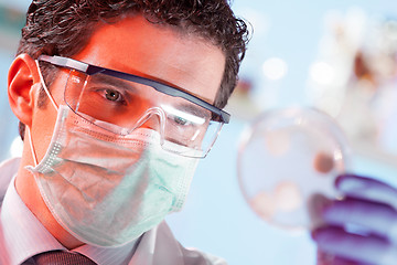 Image showing Scientist observing petri dish.