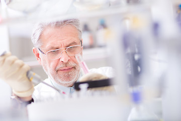 Image showing Life scientist researching in the laboratory.