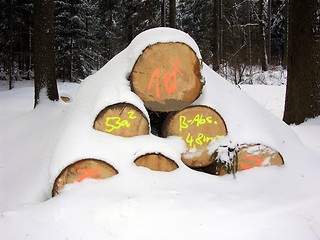 Image showing Woodpile