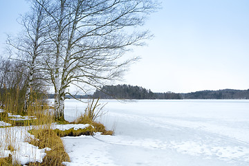 Image showing winter scenery Osterseen