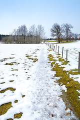 Image showing winter scenery Osterseen