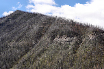 Image showing Fire damage