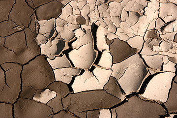 Image showing Soil texture