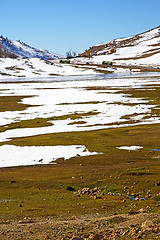 Image showing hill in   africa morocco the   ground isolated 