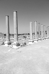 Image showing perge old construction in asia turkey the column  and the roman 