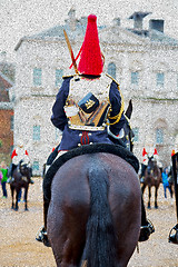 Image showing in london england horse and cavalry for    the queen