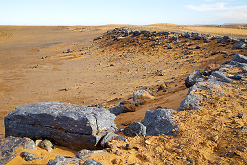 Image showing  bush old fossil in  the  