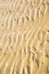 Image showing dune morocco in   near atlantic ocean