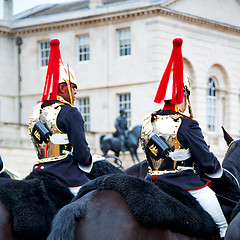 Image showing in london england horse and cavalry for    the queen