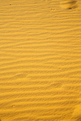 Image showing the brown sand dune in the sahara morocco  