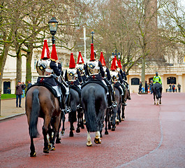 Image showing for    the queen in london england horse and cavalry 