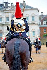 Image showing in london england horse and   for     queen