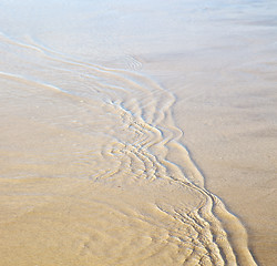 Image showing dune morocco in africa brown blue atlantic ocean