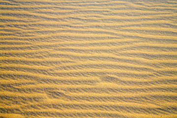 Image showing africa    sand dune in   sahara  