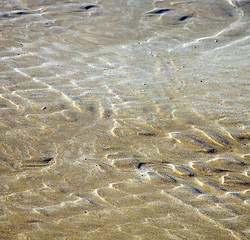 Image showing dune morocco in africa brown coastline wet sand beach near atlan