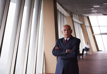 Image showing senior business man portrait