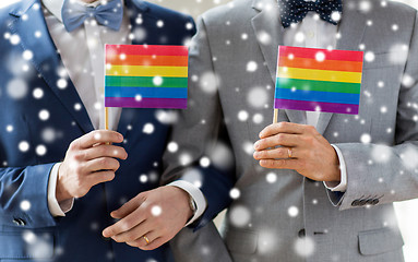 Image showing close up of male gay couple holding rainbow flags