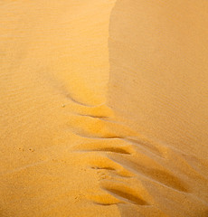 Image showing the brown sand dune in the sahara morocco desert 