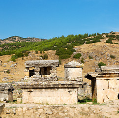 Image showing history pamukkale    old construction in asia turkey the column 