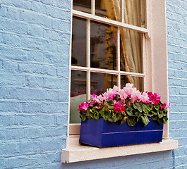 Image showing notting   hill  area  in london england old suburban and flowers