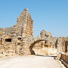 Image showing  in  perge old construction asia turkey the column  and the roma