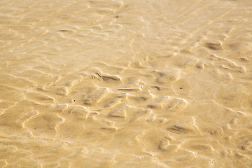 Image showing dune   in  beach near atlantic ocean