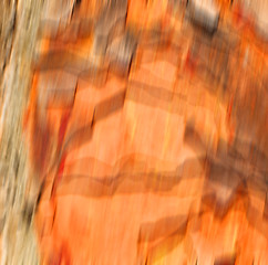 Image showing barck in the abstract close up of a tree color and texture