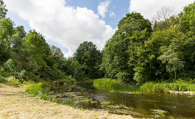 Image showing summer forest and river