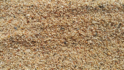 Image showing Coarse sand background