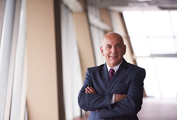 Image showing senior business man portrait