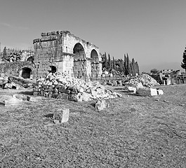 Image showing history pamukkale    old construction in asia turkey the column 