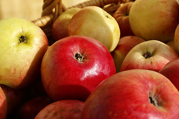 Image showing Closeup of ripe apples in a basket