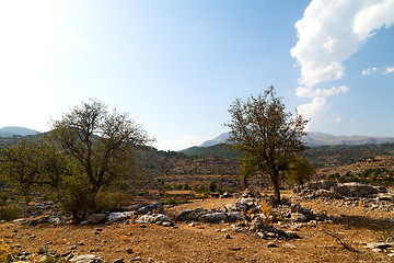 Image showing from the   turkey selge   ruins and nature 