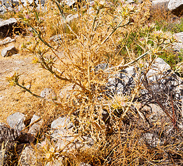 Image showing the old  temple and theatre in termessos antalya turkey asia sky