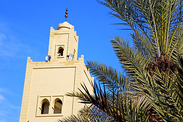 Image showing  the history  symbol  in morocco  africa  palm tree