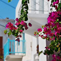 Image showing in the isle of greece antorini europe old house and white color