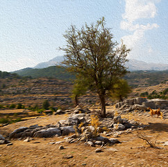 Image showing from the hill in asia turkey selge old architecture ruins and na